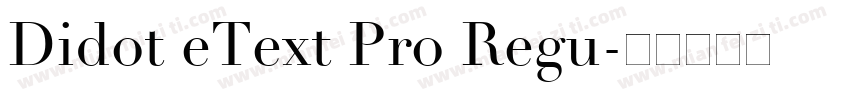Didot eText Pro Regu字体转换